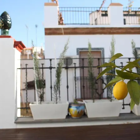 Selecta - Atico Con Terraza En La Alameda Διαμέρισμα *